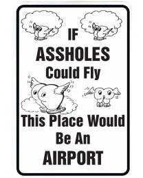 IF ASSHOLES COULD FLY