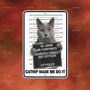 Catnip Made Me Do It