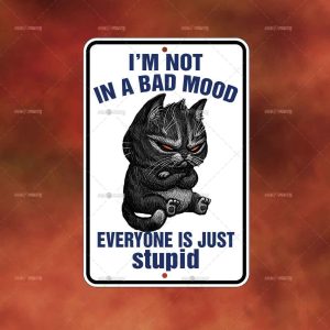 Everyone is stupid Cat