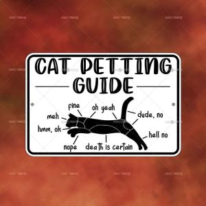Cat Petting Guide