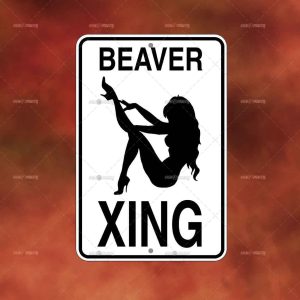 BEAVER XING