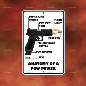 Anatomy of a Pew Pew II