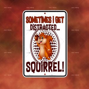 Sometimes I get Distracted Squirrel