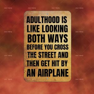 Adulthood looking Both Ways II